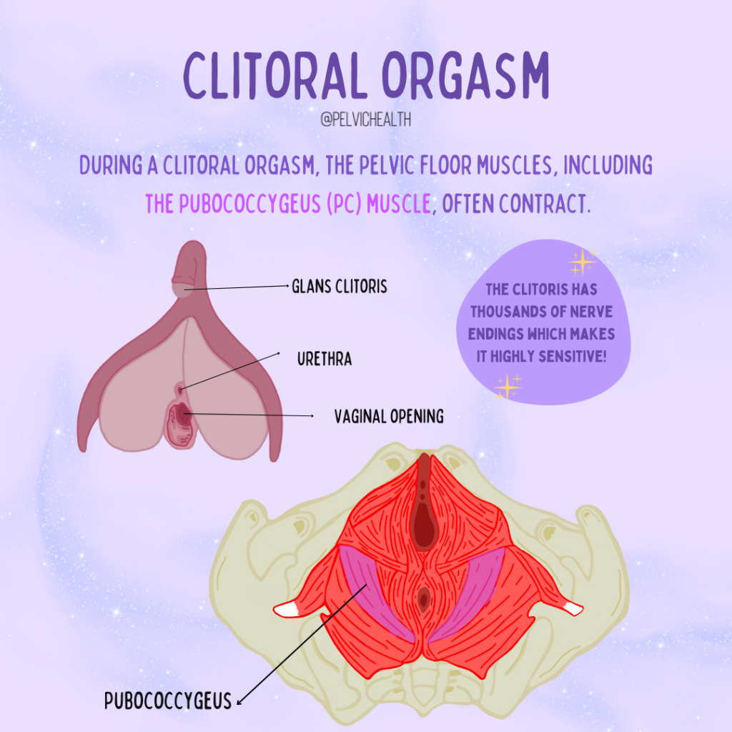 Pelvic Floor Physical Therapy img