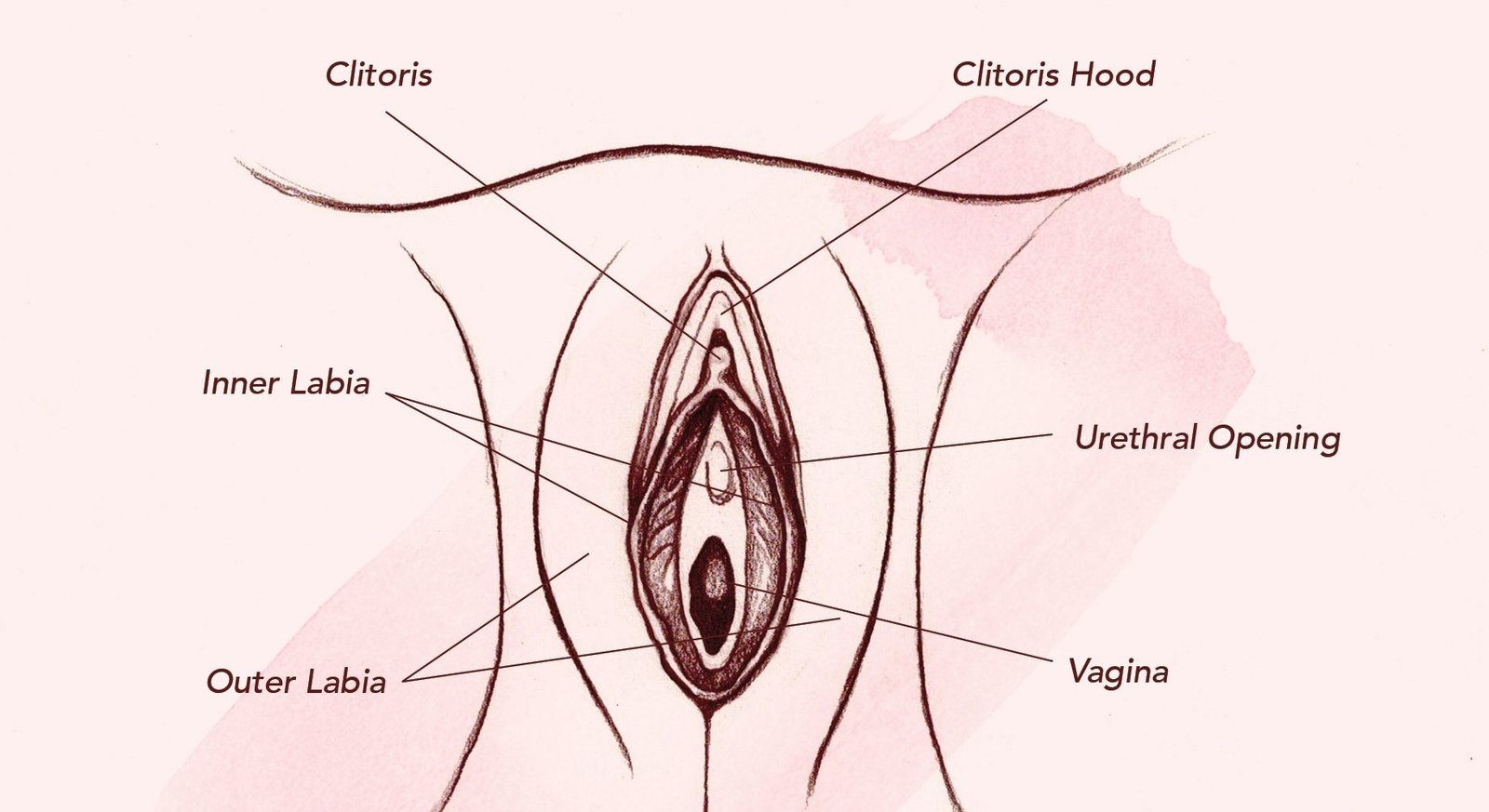 Fingering techniques,
Vulva anatomy,
Internal stimulation,