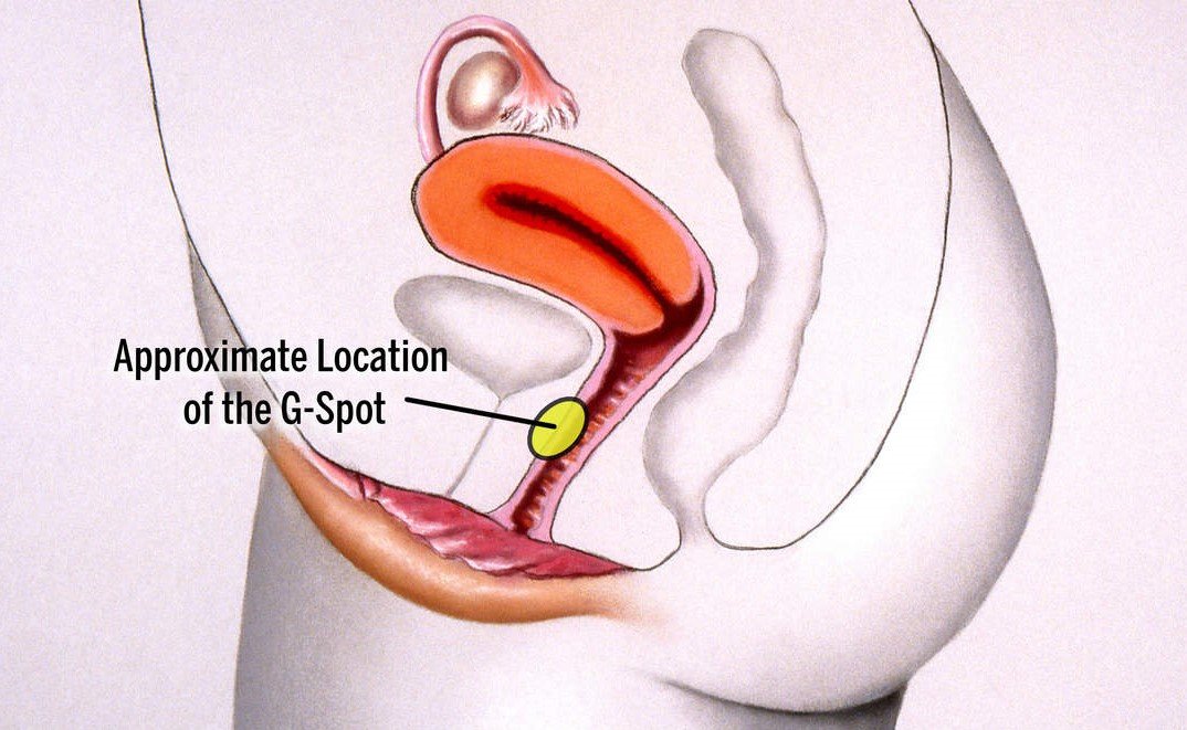 how to finger a girl, where is the g-spot