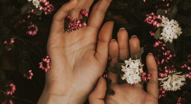 Hands touching with and pink flowers