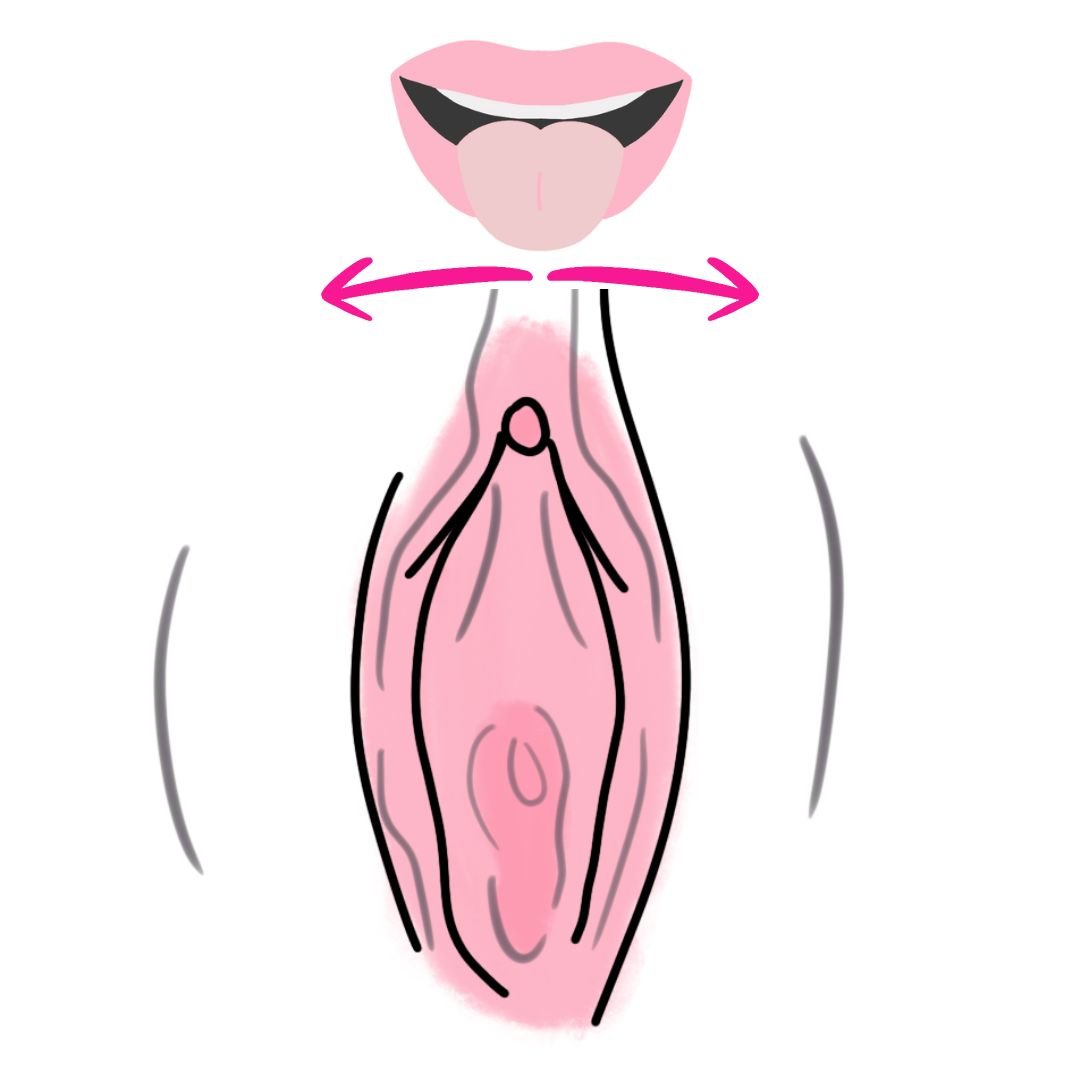 tongue moving side to side on vulva illustration