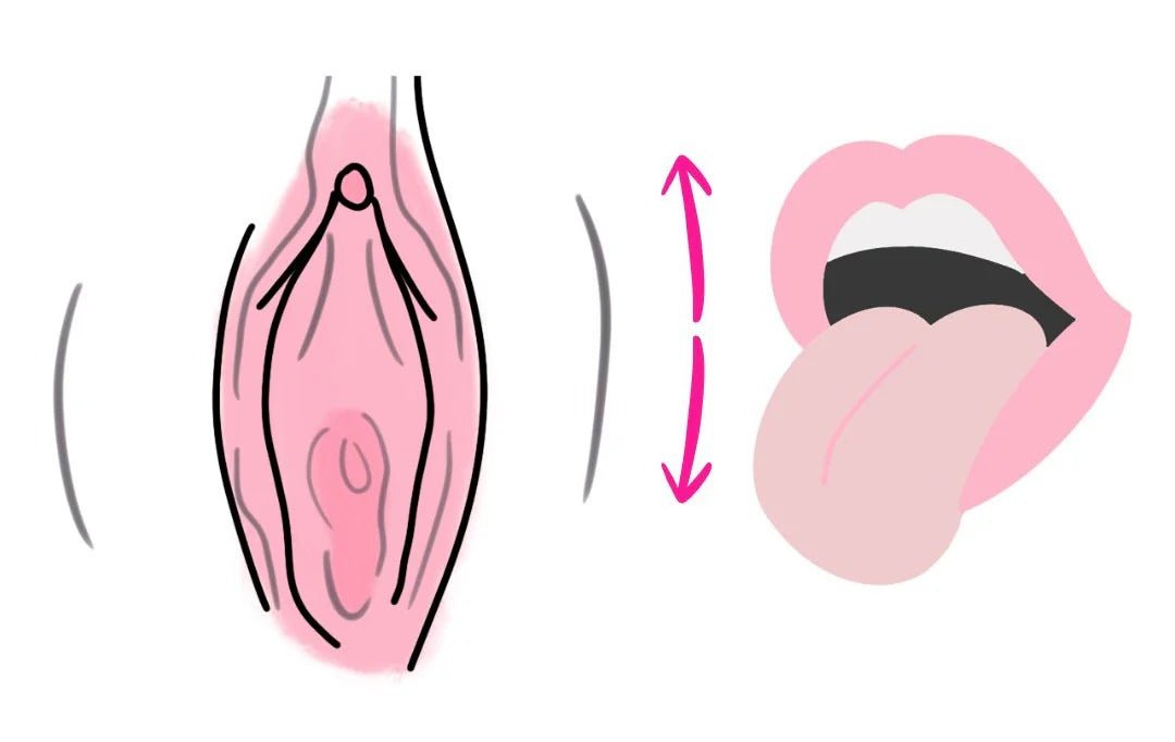 tongue licking up and down illustration