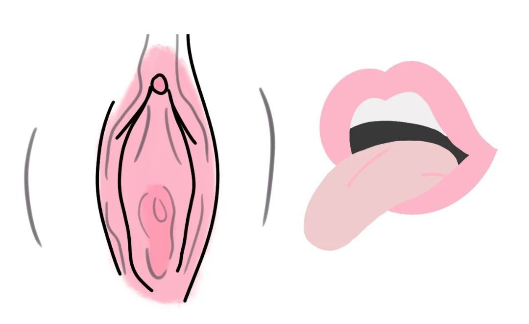 tongue flicking on vulva illustration