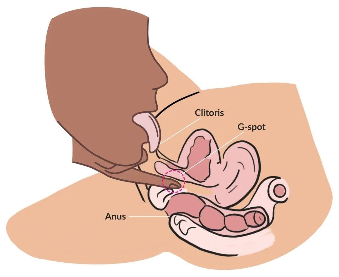 clit licking while fingering the g-spot illustration