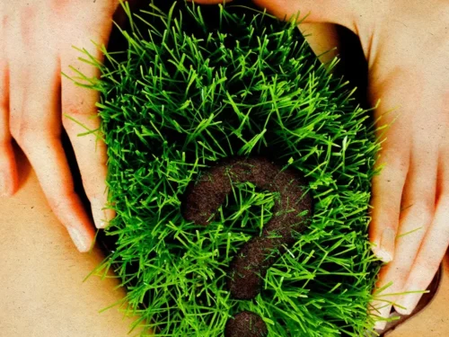 „Pilnas krūmas su bikiniu“ - „TikTok“ tendencija, kuri tapo labai populiari ir sulaukė teigiamo „TikTok“ bendruomenės ivertinimo