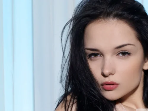 Seksualinio atsako ciklas