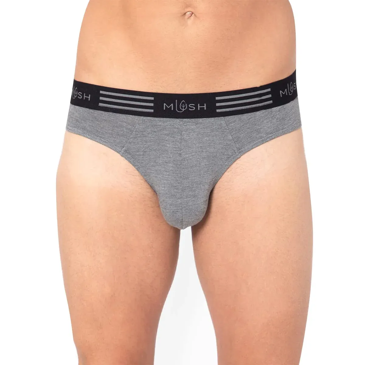 Mens briefs (10)