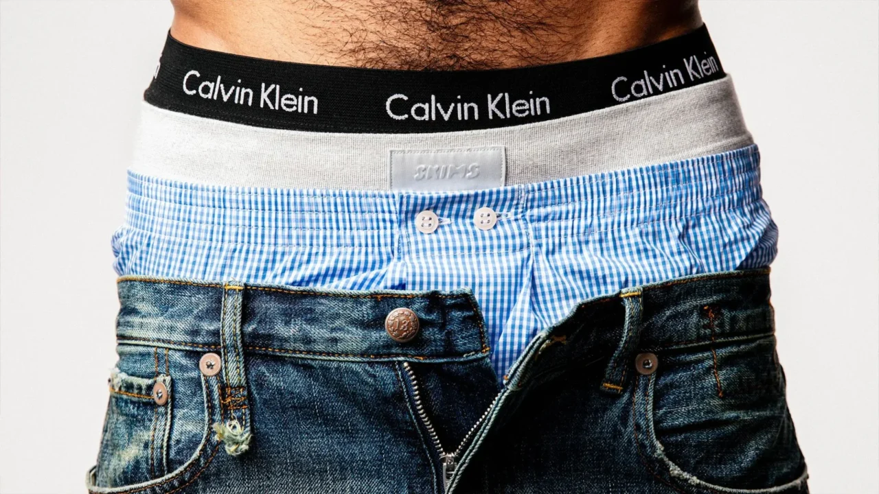 Mens briefs (12)