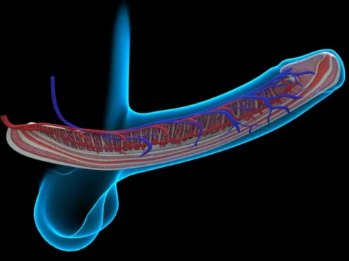 Geriausi sekso pratimai vyrams, padedantys pasiekti tvirtą erekciją, ištvermę ir stumiamąją jėgą (7 dalis)