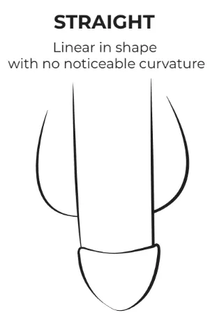 Penis type straight