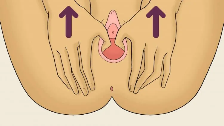 Perineal massage instructions illusrtation up