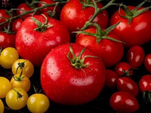 Norite gausaus pomidorų derliaus? Patarimai, kad pomidorų derlius būtų gausus.