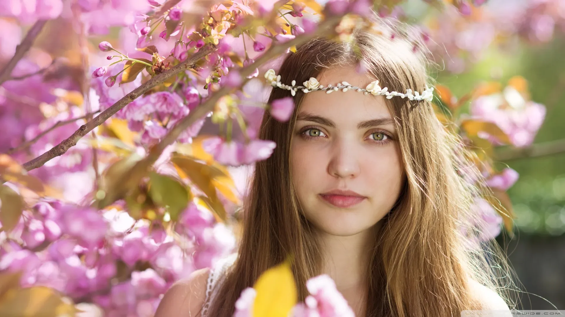 Spring garden 2 wallpaper 1920x1080