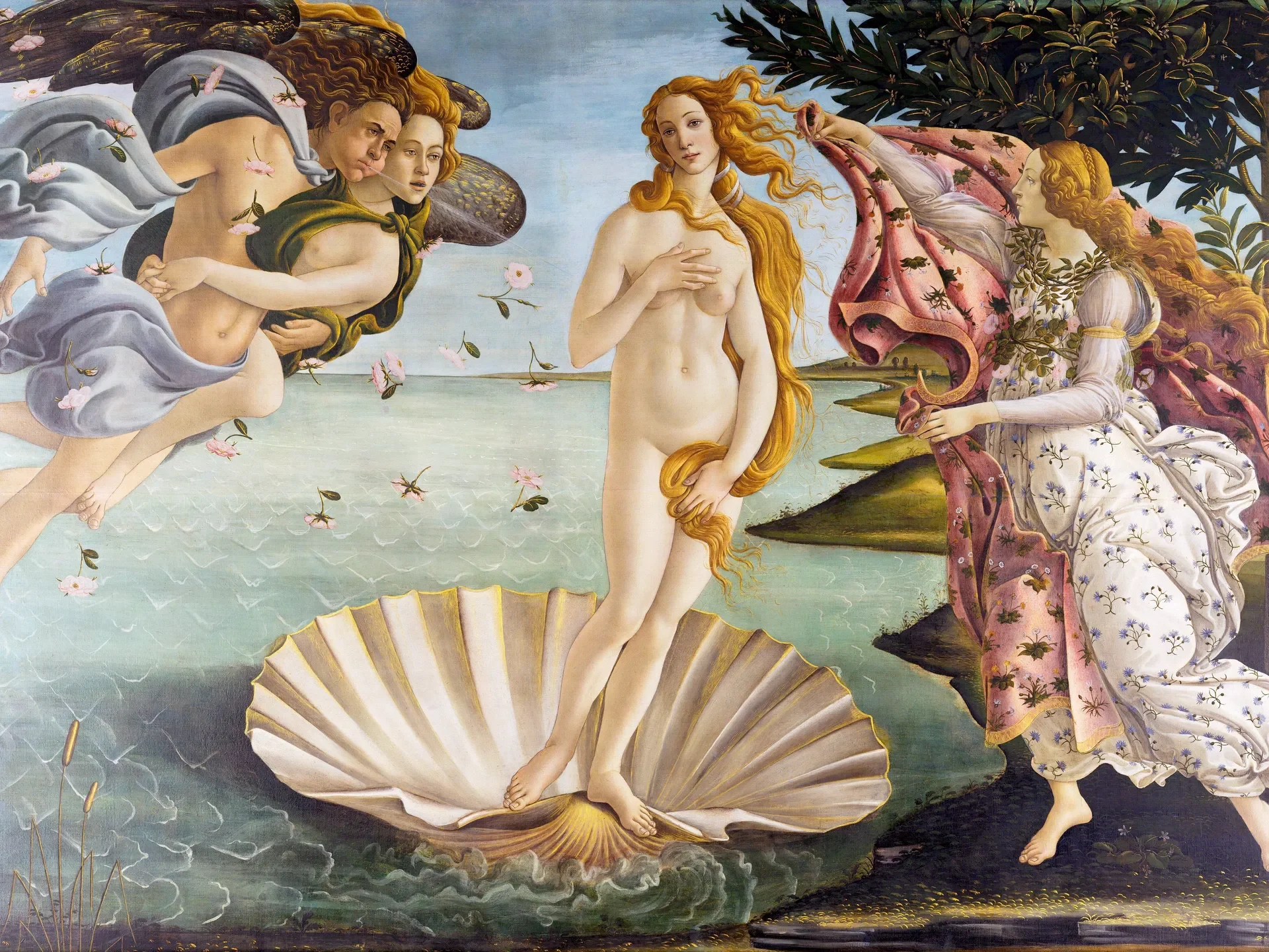 Venera