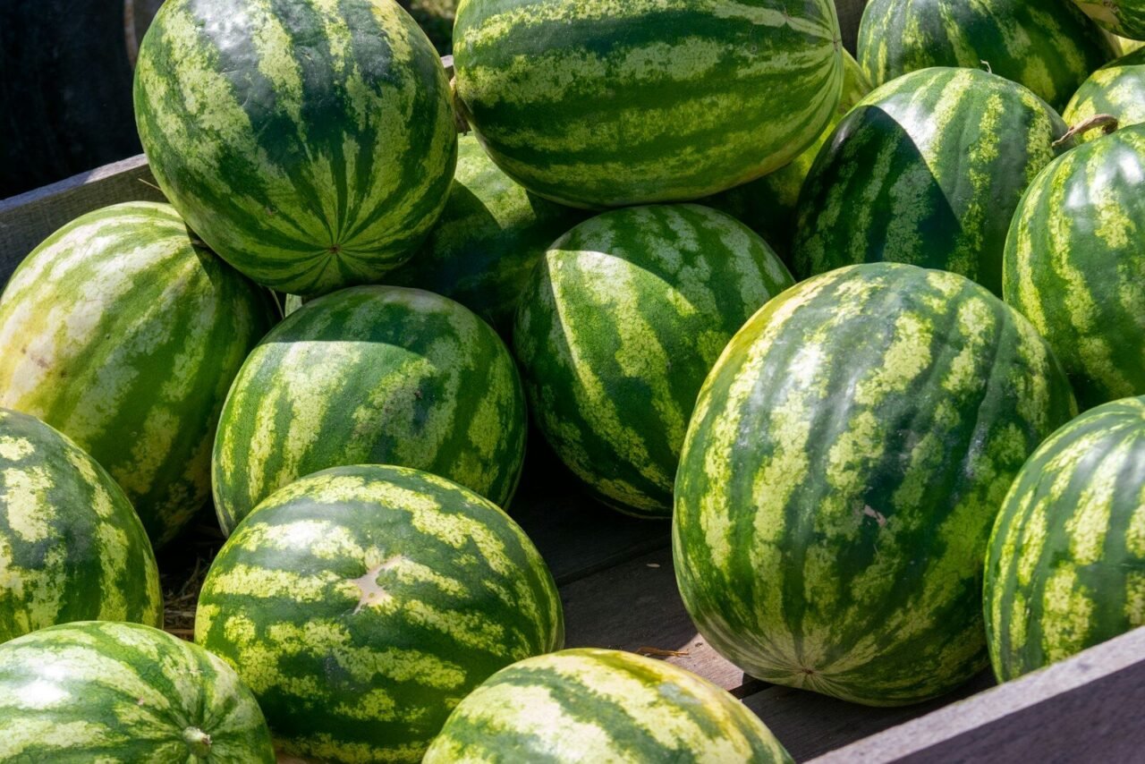 a pile of watermelons sitting on top of each other