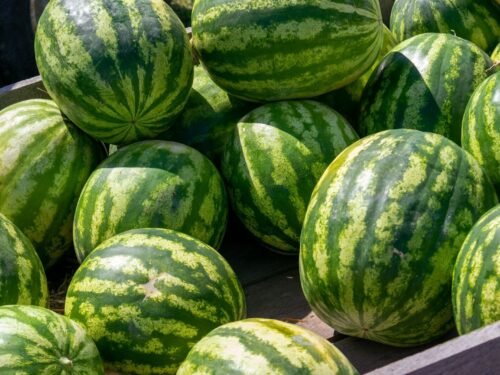 a pile of watermelons sitting on top of each other