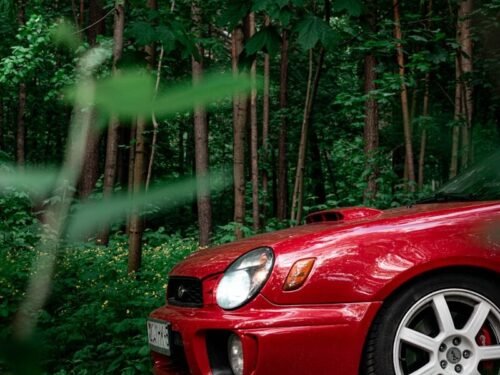 red car on forest during daytime